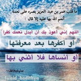 قناة الإمام عمر بن عبد العزيز الأموي