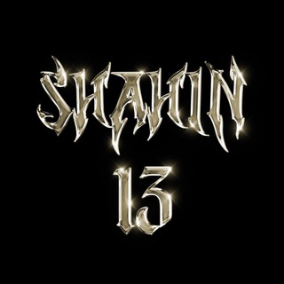 shahin13
