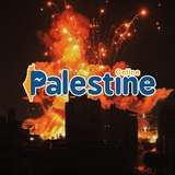 Palestine Online ๐ต๐ธ๐ต๐ธ