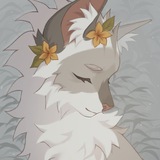 🌲 Katsu 🦭