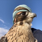 نَبَطيّ