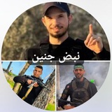 نبض جنين