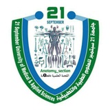 قسم ال Anatomy دفعـ➑ـة|USF|