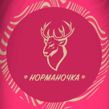 «Норманочка» (футзал)