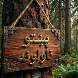 پښتو ناولونه
