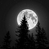 MOON | معنی تتو