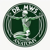 Thorax, Abdomen and Pelvis(MWS)