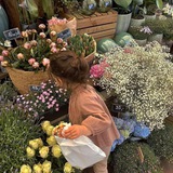 ⤶على جناح فراشه 🦋↻.