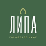 Липа