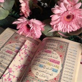 القران الكريم ✨