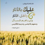 القناة السلفية لنشر العلوم الشرعية 📚