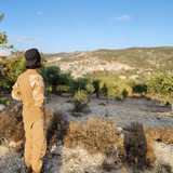 اطلال غَرِيب
