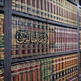 الباز الأشهب