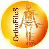 OʀᴛʜᴏFɪʟᴇS