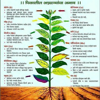 Gk Agri कृषिसेवक ग्रामसेवक कृषिविस्तार अधिकारी विद्यापीठ परीक्षा