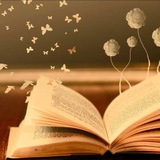 Littérature 📖