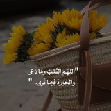 کَ نِقْاء ألیاسْمین 🤍