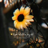 ♥️ حالات واتس اب دينية ♥️