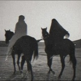 أشعار.