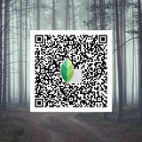 Snapseed Presets