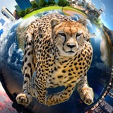 Картинка канала