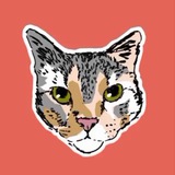 Картинка канала