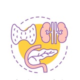 Endocrine ๐