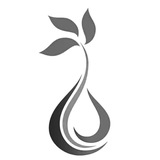 جبهه شریان