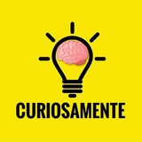 💡 CURIOSAMENTE 🧠