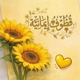 قطوف إيمانيـة🪽💛