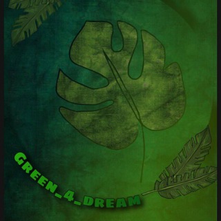 💚Green_4_Dream🍀