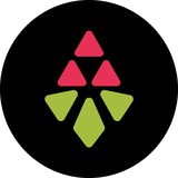 Каштан NEWS