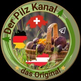 🌲 Der Pilz Kanal 🌲