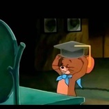 تجمع طلاب جامعات 2026
