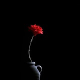 خــــواطــــر 💜 راقـيـــــه2025 💜