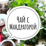 «Чай с мандрагорой» с Анной Павлюк