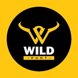 WILD PUNT