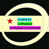 L2 physique 2( cours td tp exam )