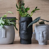 🍂 🍃 Plants_fans <i class="emoji" style="background-imag