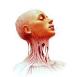 Anatomy-examination dep.