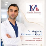 Dr.Meghdad Ghasemi Vascular & Endovasvular & surgery education