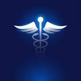 The Caduceus