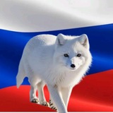 Я Вам Пришёл