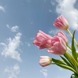 نَوْرَ الفَجْرُ 💗🌸.