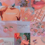 🧡 𝘗𝘌𝘈𝘊𝘏𝘌𝘚 〽️
