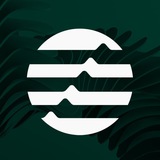 IT Новости | Нейросети