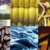 1129 & 1323 Futures News Info