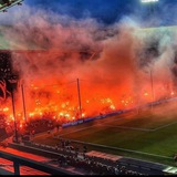 Feyenoordfans
