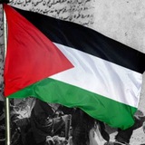 قناة المستشارين (فرقة رابعه حقوق الزقازيق) ⚖️