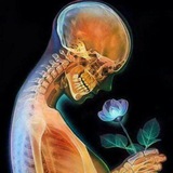 قسم الأشعة radiology_ x_ray CT_ MRI ☢ ☢